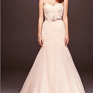 David’s Bridal light pink and corset back plus veil….